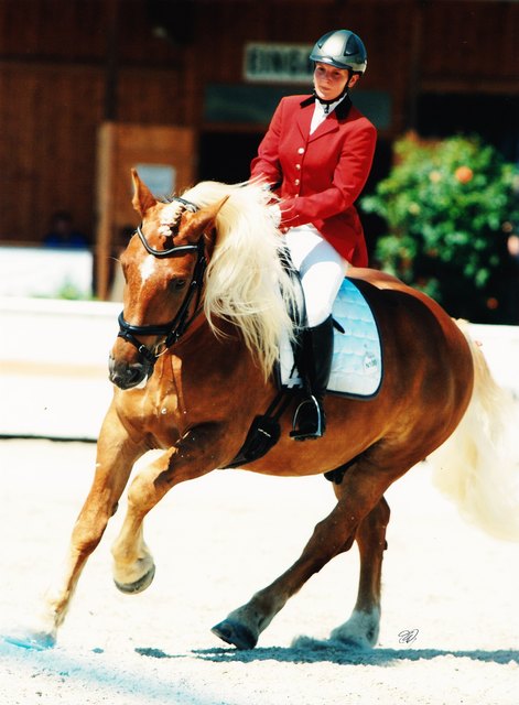 Inge Kogler ritt mit ihrem Wallach zum Meistertitel (Dressur Noriker). | Foto: privat