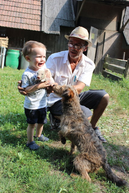 Nach seinem Besuch im Gasthaus durfte Noa ein Babyschwein streicheln. Pfleger Petrovic und sein Hund Lotte passten auf die beiden auf.