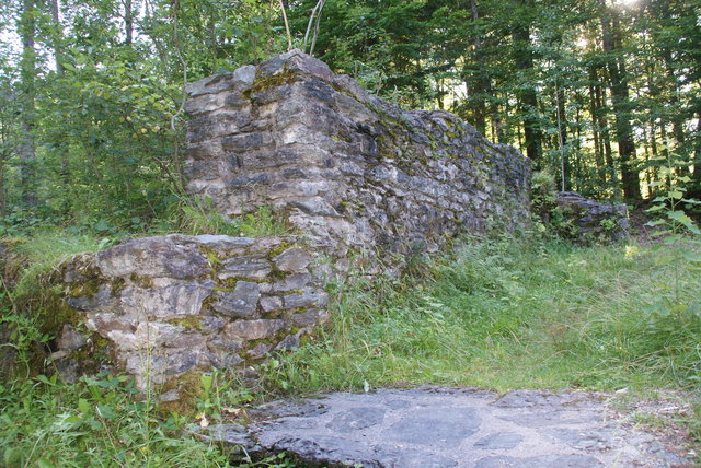 Die freigelegten Mauern der Ruine Bachsfall.
