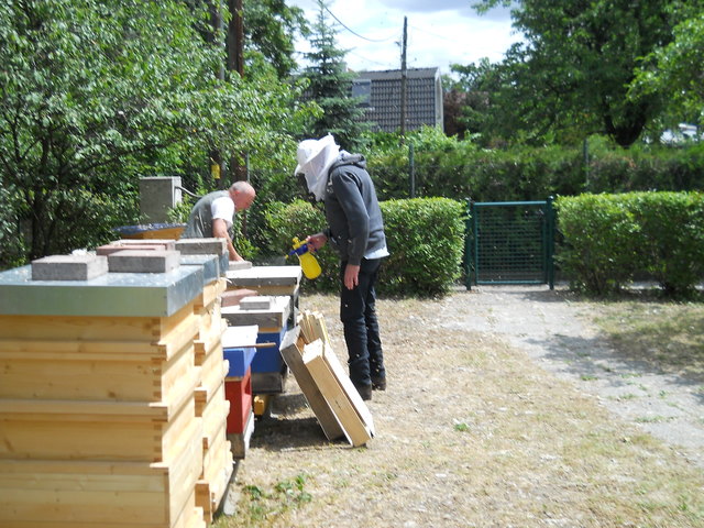 Kleine Dusche für meine Süßen (Bienen)
