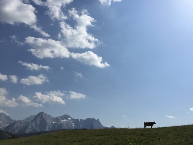 Abkühlung in der Höhe suchen.