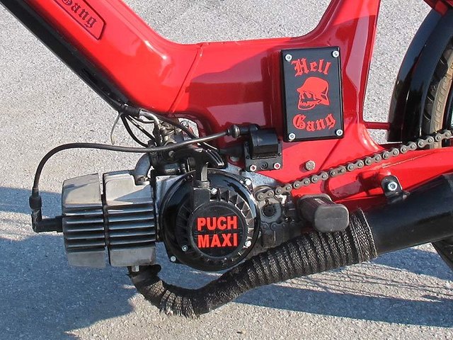 Die Hell Gang bekennt Farbe, zeigt Flagge.