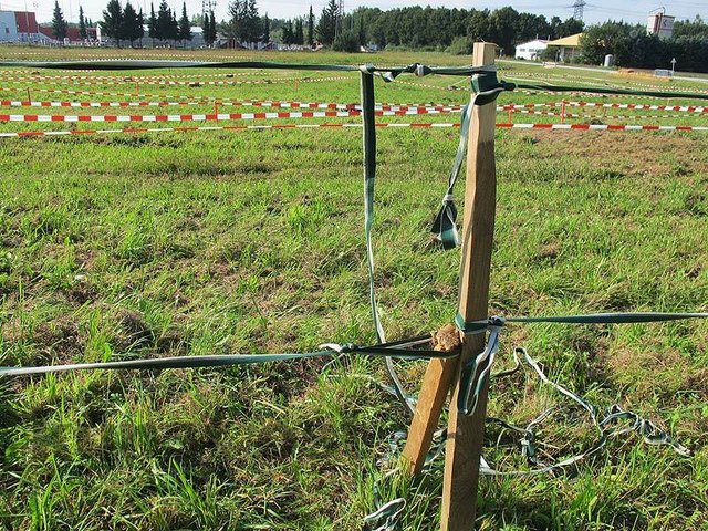 Zuerst den Kurs ausgrsteckt...