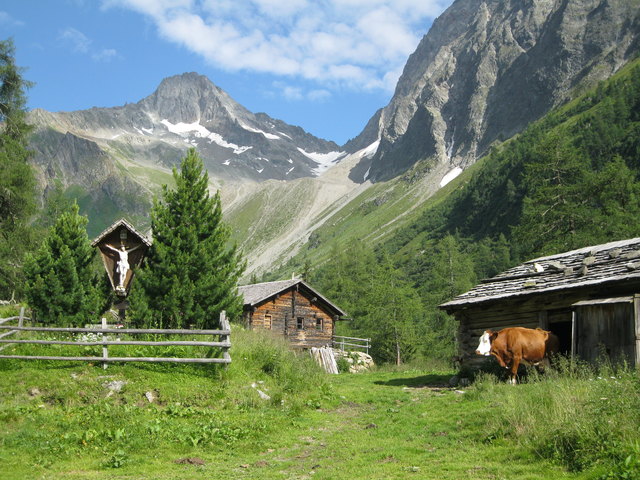 Eine Almwanderung in Kals ist immer schön und kühler.