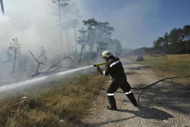 Löscheinsatz beim Föhrenwaldbrand im August 2013.