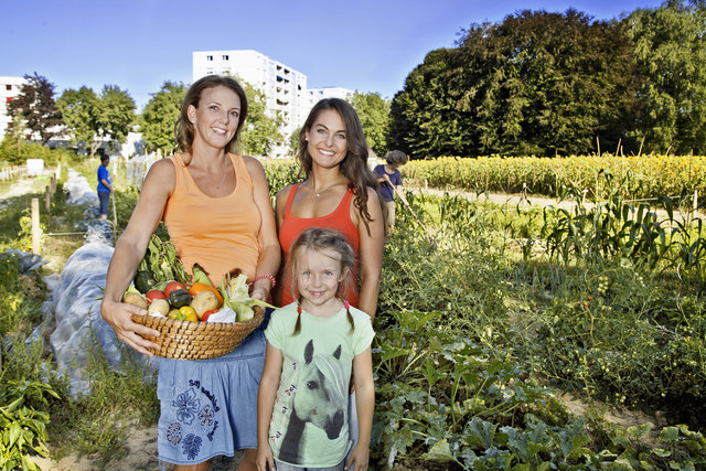 Klassiker wie Karotten, Erdäpfel, Kohlrabi, aber auch Exotisches wie Buschbohne oder Pastinaken werden angebaut. Foto: Pürstinger