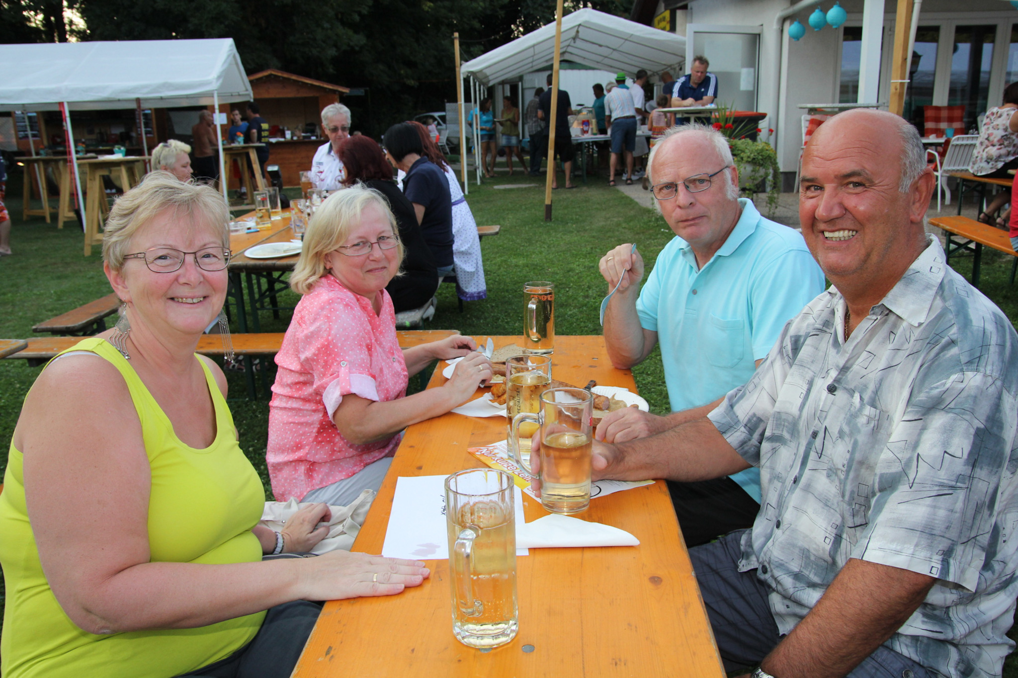 Single party wiener neustadt
