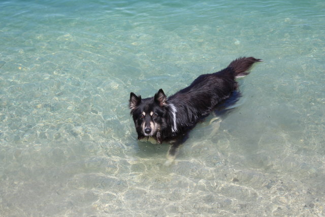 Aaron kühlt sich richtig ab