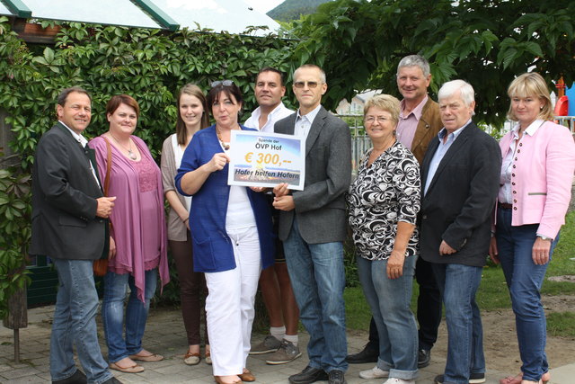 300 Euro sind an den neuen Sozialverein gegangen. Im Bild von links: Bürgermeister Thomas Ließ, Bianka Leberbauer, Barbara Rosenegger, Vereins-Obfrau Christa Wimmer, Wolfgang Schlager, Hubert Nussbaumer, Greti Schmiedbauer, Sepp Oberascher, Gustl Michelit | Foto: ÖVP Hof