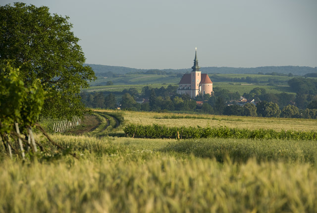 Weinstadt Poysdorf © veltlinerland.at Michael Himml