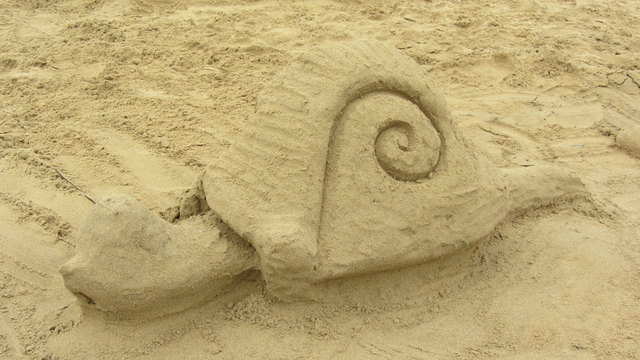 . . . die Sand-Schnecke . . .