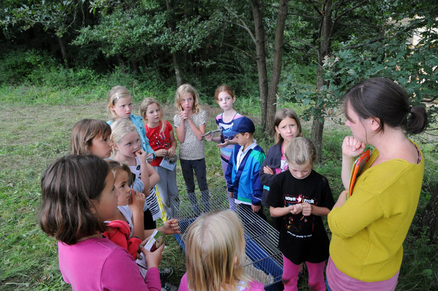 Ein Tierschutzsommercamp für Kinder findet am 21. und 22. August im Bezirk Oberwart statt. | Foto: Wir fürs Tier Oberwart