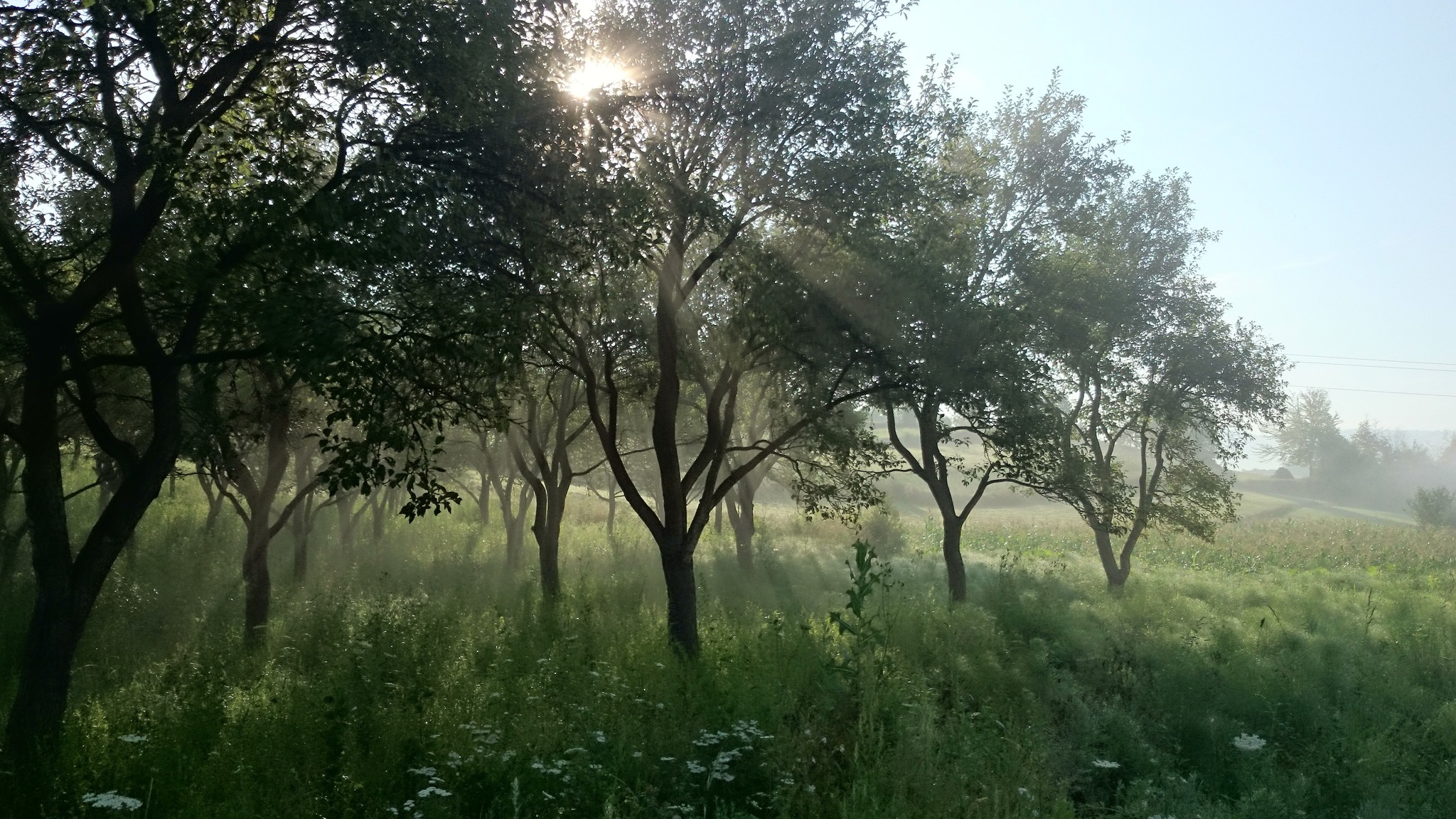 Get Monde und jahre vergehen HD Monde Und Jahre Vergehen