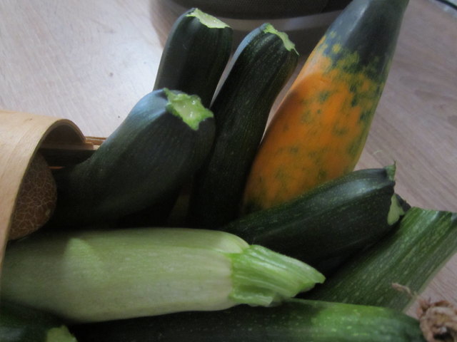 drei verschiedene Zuchinis