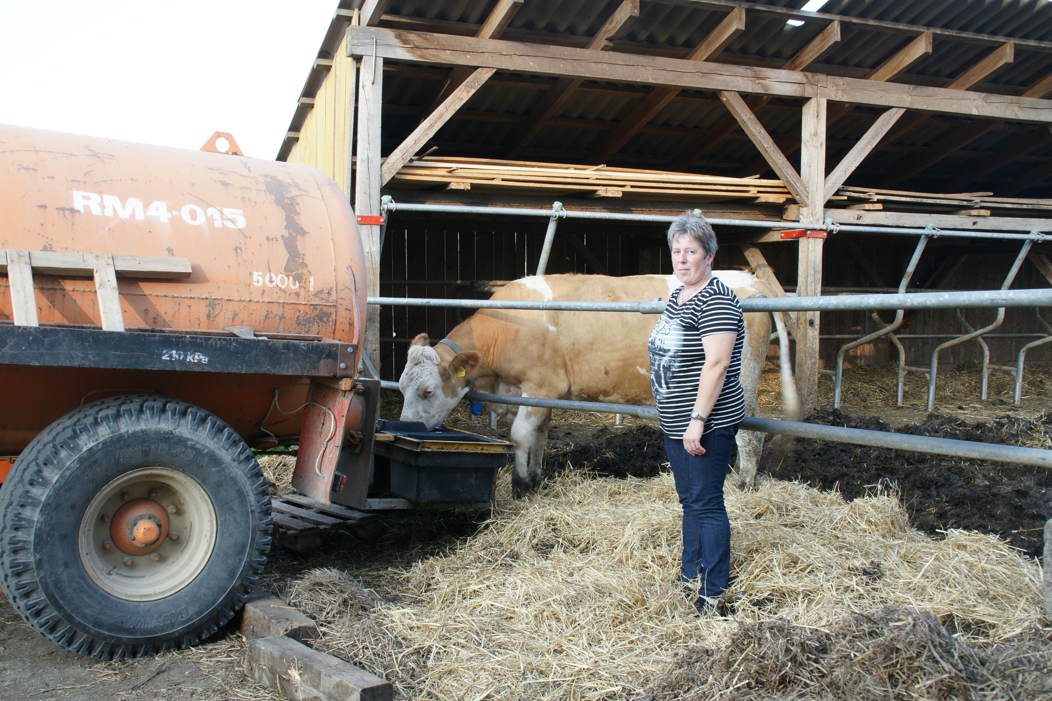 Wasser: Es wird knapp für Kühe - Gmünd