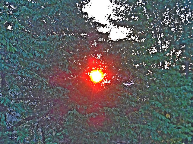 Sonnenaufgang in Arnreit "durch" einen Baum