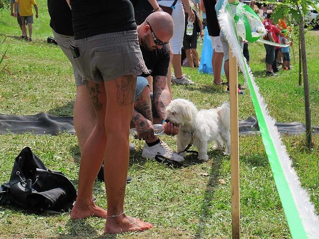 Wenn alle aufeinander achten, kann der heiße Sommer keinen Schaden anrichten.
