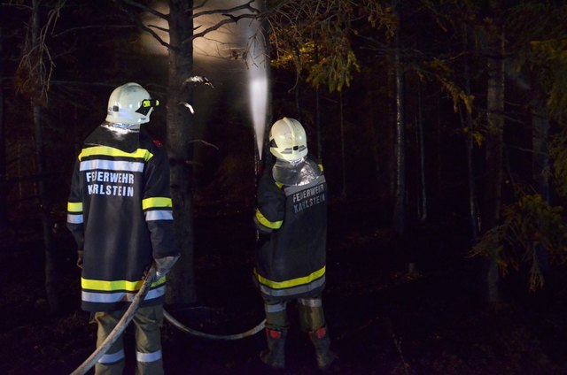 Foto: BFK Waidhofen a. d. Thaya / Stefan Mayer