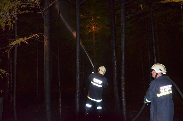 Foto: BFK Waidhofen a. d. Thaya / Stefan Mayer