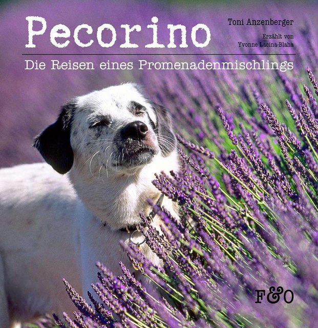 Erinnerungen an die Reisen des Hundes Pecorino mit seinem Herrchen Toni Anzenberger, erzählt von Yvonne Lacina-Blaha. | Foto: FRED & OTTO / Toni Anzenberger