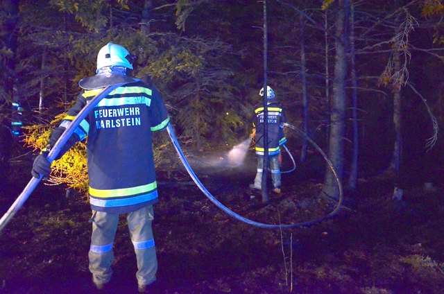 Foto: BFK Waidhofen a. d. Thaya / Stefan Mayer