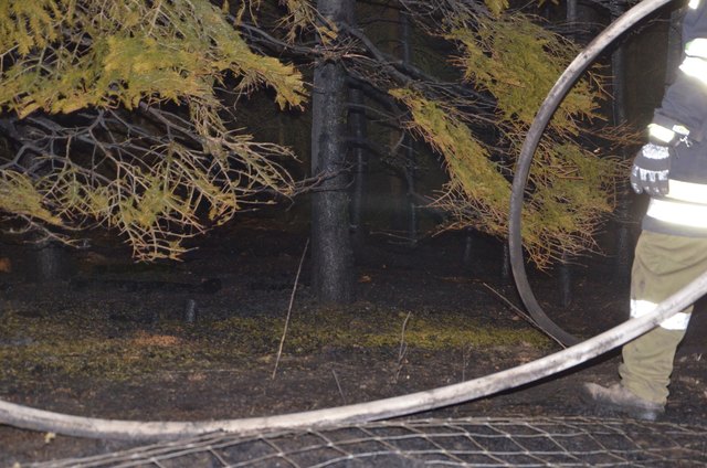 Foto: BFK Waidhofen a. d. Thaya / Stefan Mayer