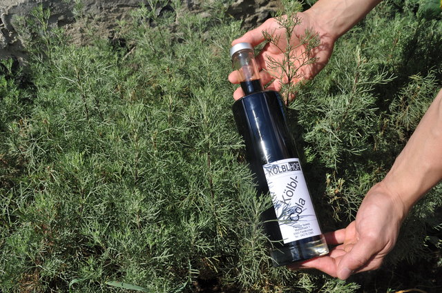 Die Blätter des Cola-Strauches bilden die Grundlage für den hausgemachten Sirup | Foto: Friessnegg