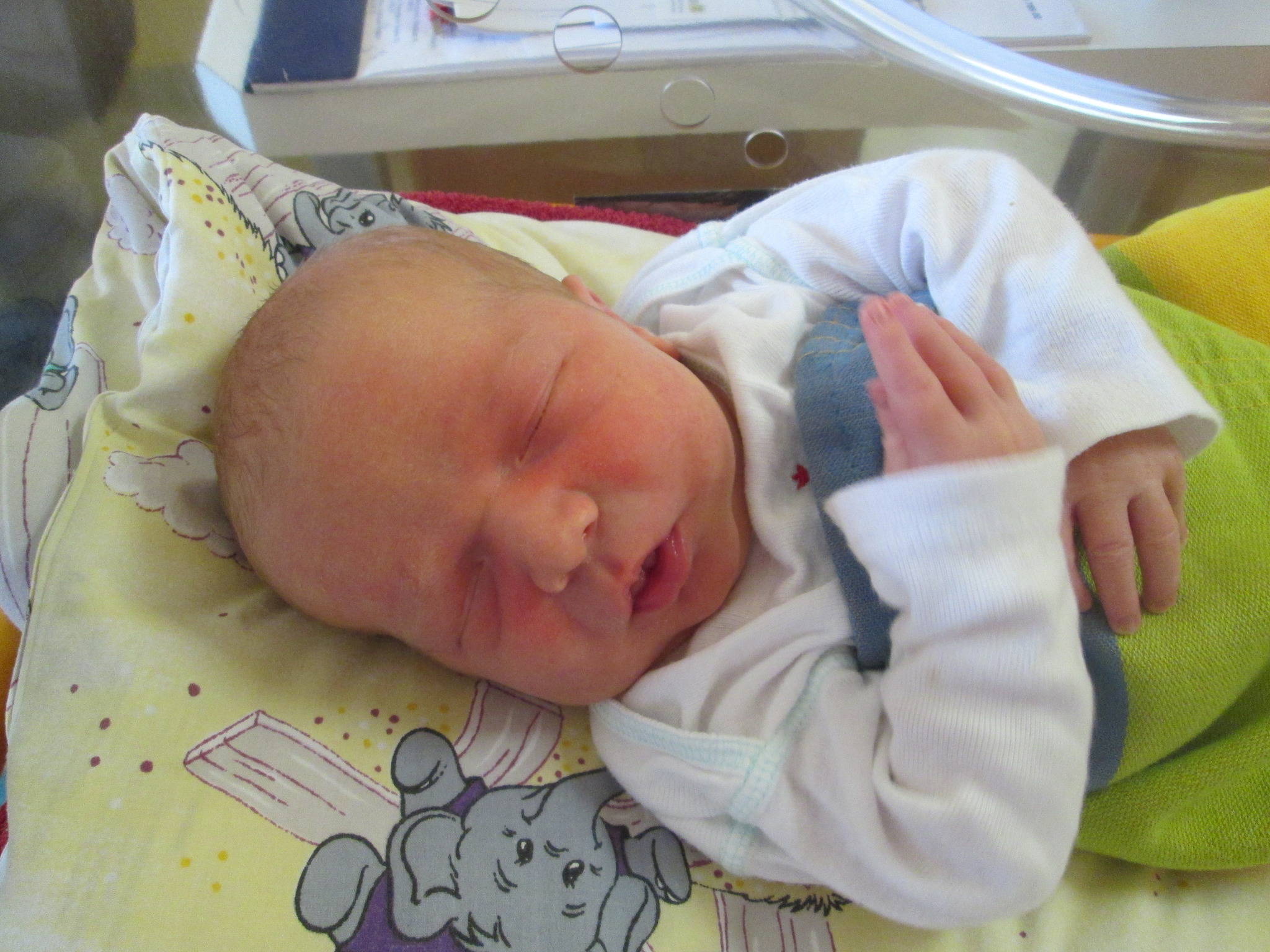 Baby der Woche 35 Jakob Orth Korneuburg