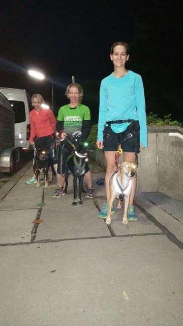 Nach dem Training ... Christine mit Cirsa, Sabine mit Tula, Anna mit Ylvi