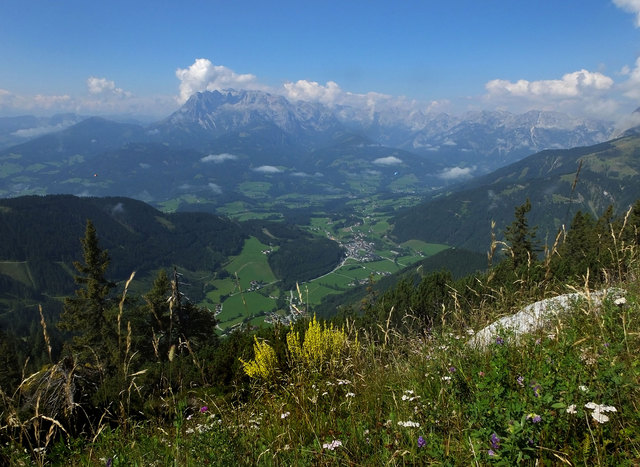 Die letzten Blüten, heuer ist fast alles schon verdorrt.