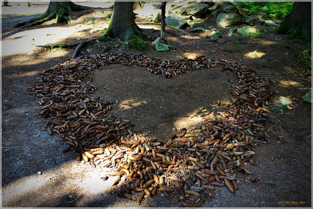 Im Bärenwald werden Kinder eingeladen Zapfen zu sammeln und dieses Herz 'wachsen' zu lassen! :)