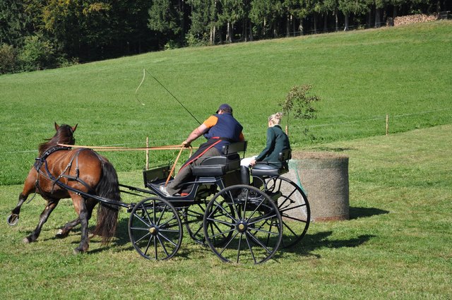 Puchberg am schneeberg nette leute kennenlernen. Treffen mit frauen in weikirchen in steiermark. Nudorf am haunsberg kleinanzeigen sie sucht ihn. Bekanntschaften hart bei graz: Fohnsdorf stadt kennenlernen
