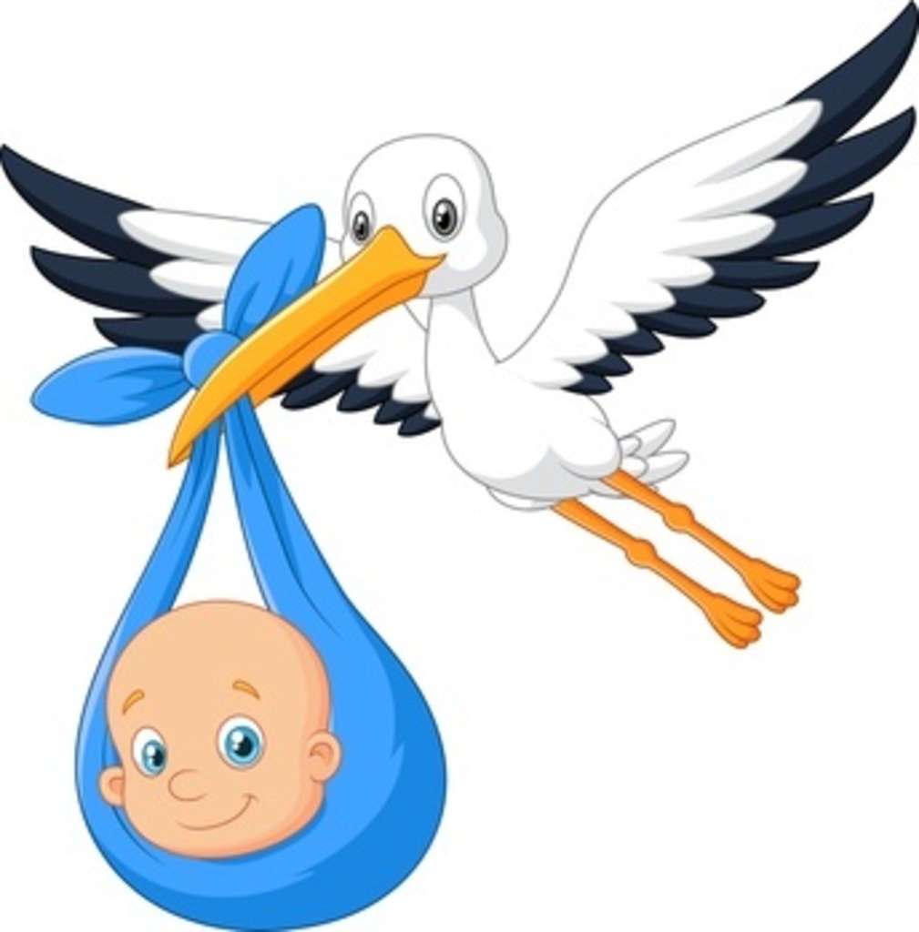 Bildergebnis für klapperstorch baby