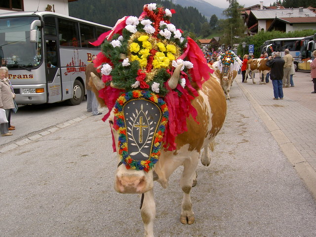 Der schönste Almschmuck Steiermarks wird in Donnersbach gesucht. | Foto: Kurt Bouda/pixelio.de