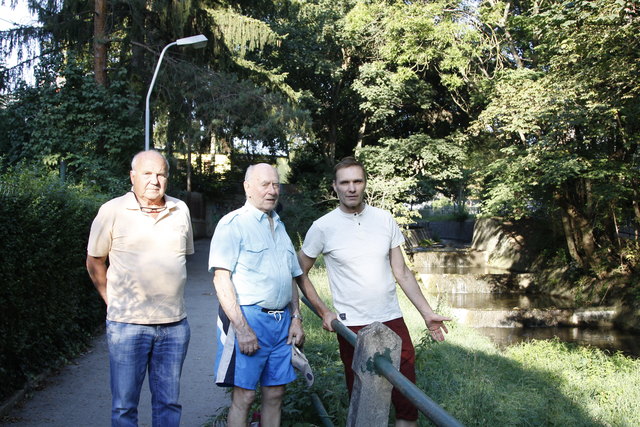 "Die drei kleinen Wasserfälle sind für Fische ein unüberwindbares Hindernis", erklären Efferl, Nittel und Kariger (v.l.).