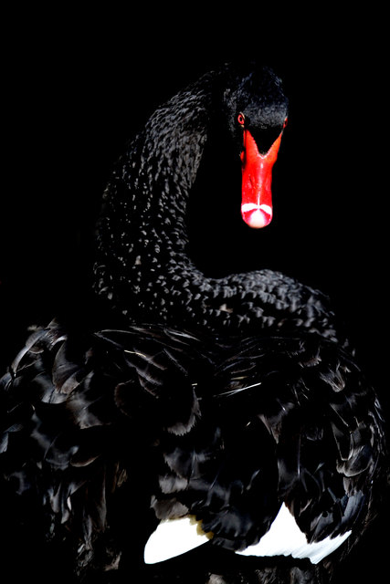 © Fabio Brunner