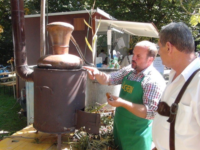 "Schnaps brennen tua ma!"