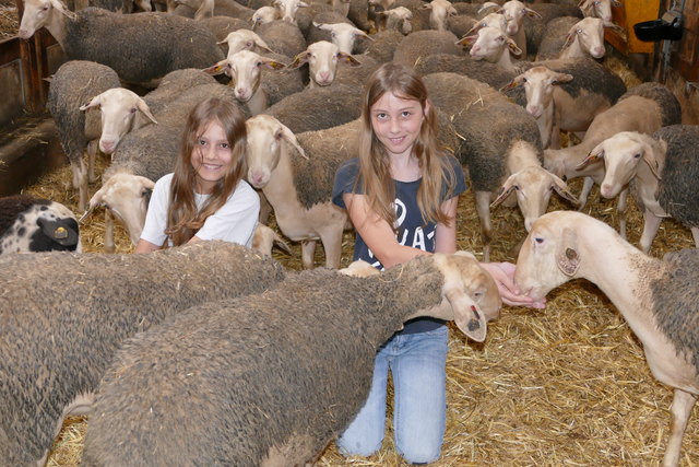 Katharina und Magdalena Schramel arbeiten in den Ferien schon fleißig am Hof ihrer Eltern mit und freuen sich auf zahlreichen Besuch am Tag der offenen Schafstalltür am 12.9.15 auf ihrem Betrieb. | Foto: Schramel