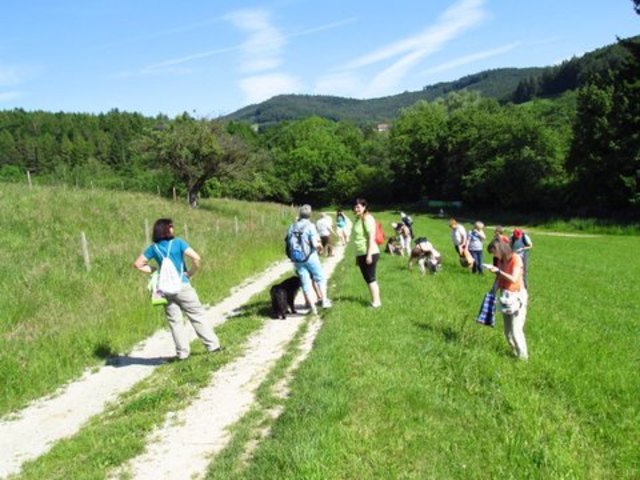 Kräuterwanderung im Kreisbachtal