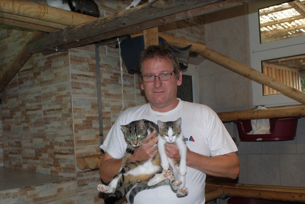 Bauerin Wollte Katzen In Gullegrube Werfen Tierschutzer