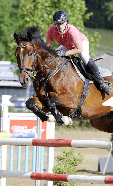 Der Reiterhof Stückler lädt am Wochenende zur Landesmeisterschaft in Springreiten (Foto: KK)
