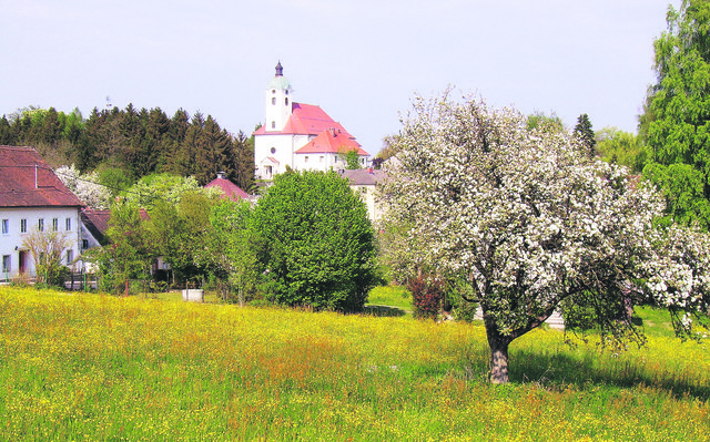 Foto: Gemeinde Schiedlberg