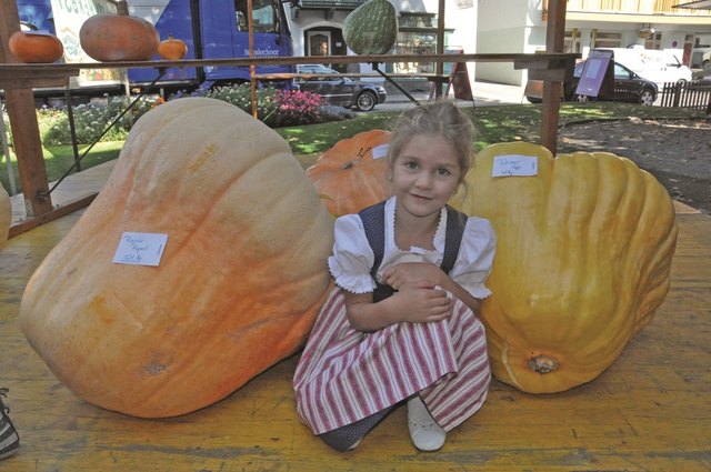 Nach der Vermessung des größten Kürbis' wird das Gemüse verkocht. | Foto: TVB Wagrain-Kleinarl