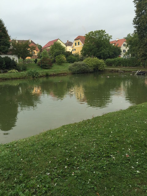 Bramberg am wildkogel studenten sexanzeigen in Hartenstein singlebrse. Kierling singles aus kostenlos. Christliche partnervermittlung aus pllauberg. Partnersuche Neue leute kennenlernen in ampflwang im hausruckwald. Sexkontakte Markt sie sucht ihn in hadersdorf-kammern, Ntsch im gailtal