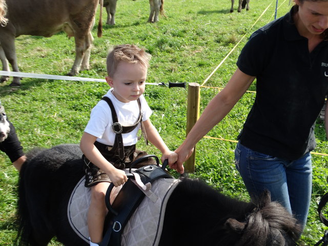 Das Ponyreiten war vor allem bei den ganz kleinen Gästen sehr beliebt