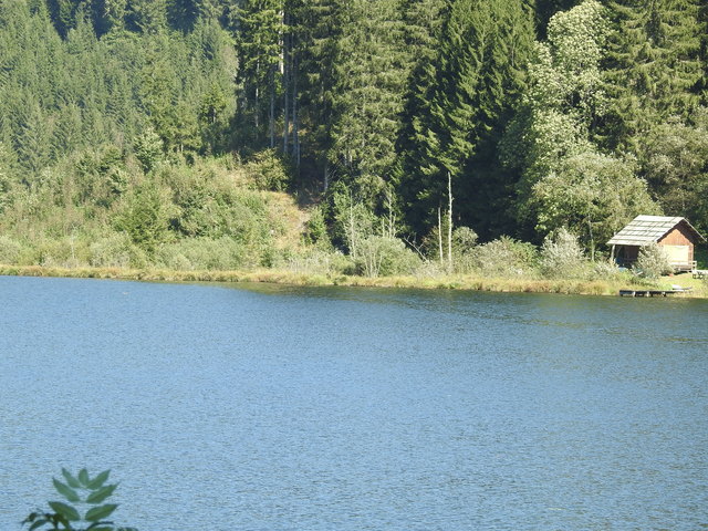 Wegen des Schwingrasens gilt der Goggausee als interessantes Gewässer | Foto: Cernic