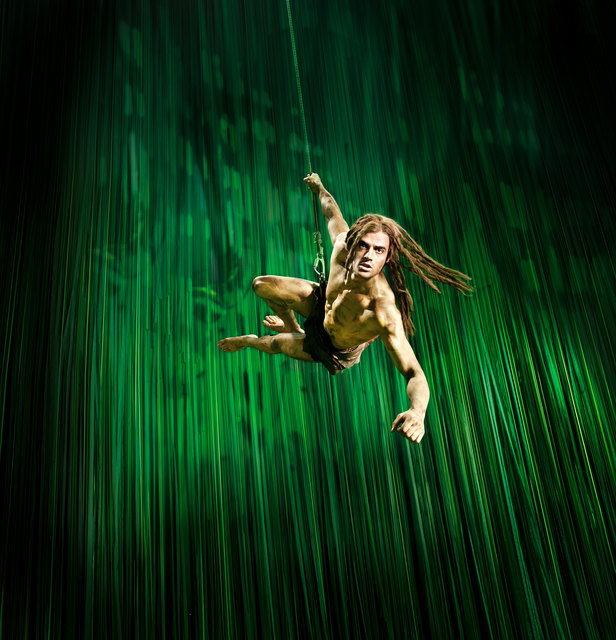 Erleben Sie das Musical "Tarzan" in Stuttgart. | Foto: Stage