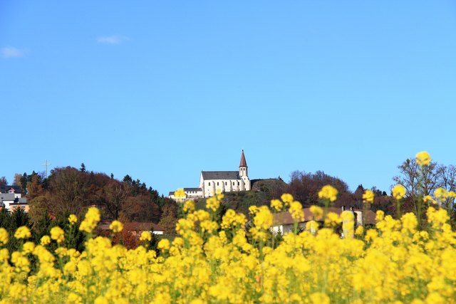 St. Thomas gehört traditionell zu den Hochburgen der Volkspartei im Bezirk Perg. Einziger Gegner im Ort ist die SPÖ. | Foto: Gemeinde