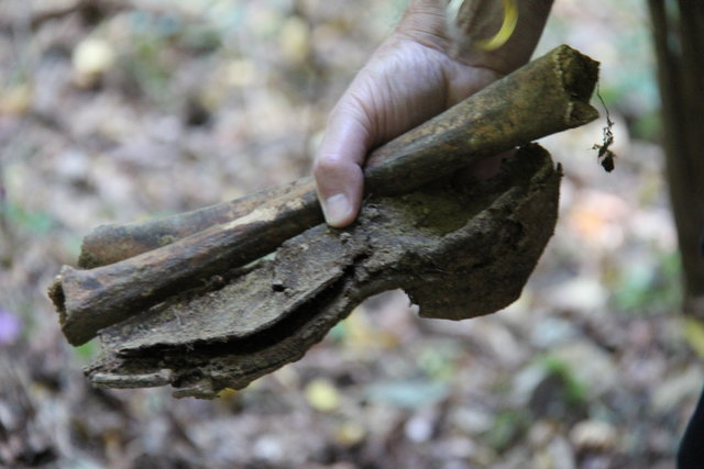 Erster Fund, ein Schuh und ein Oberschenkelknochen