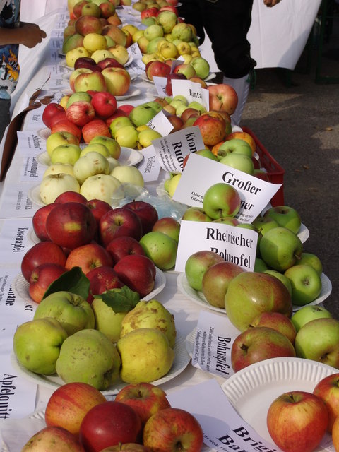 Kirchbacher Apfelfest | Foto: MG Kirchbach